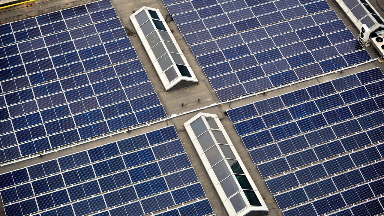Genesis Property completes the largest renewable energy project in an office park in Romania