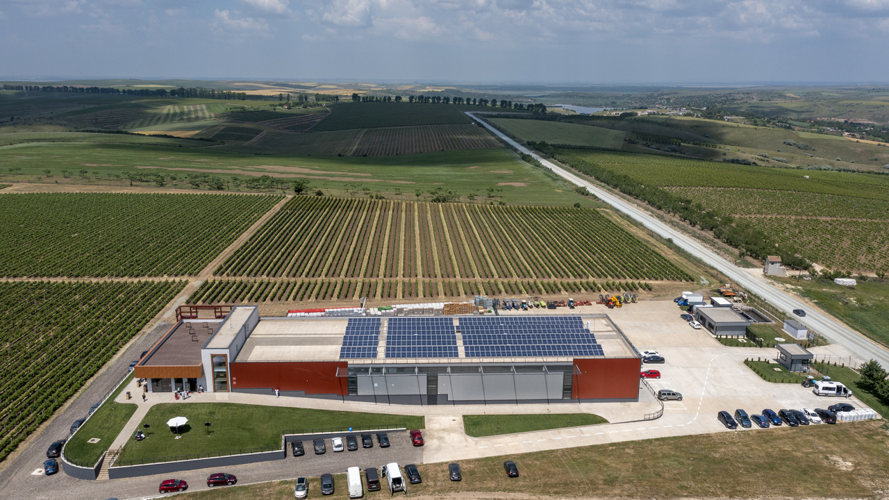 Alira Grand Vins, 5 mil. € în crama ”verde” Aliman