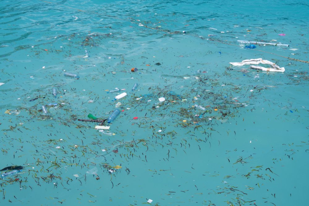 Cum afectează microplasticele capacitatea oceanului de a capta carbonul