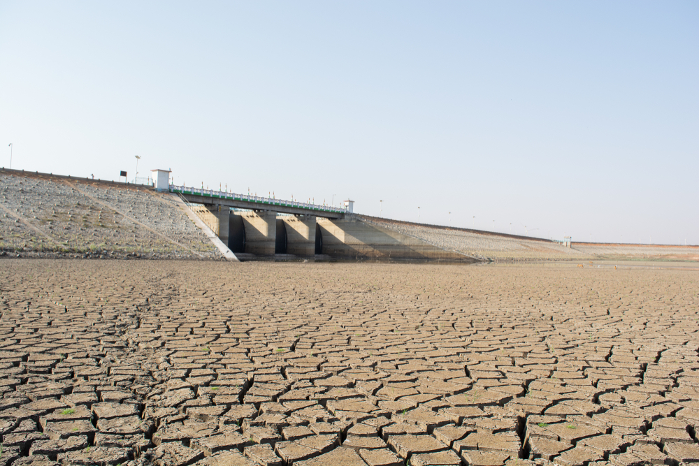 The drought in Europe is the consequence of our own climate actions