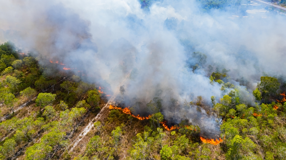 Fumul incendiilor canadiene a ucis peste 22.000 de persoane în Europa