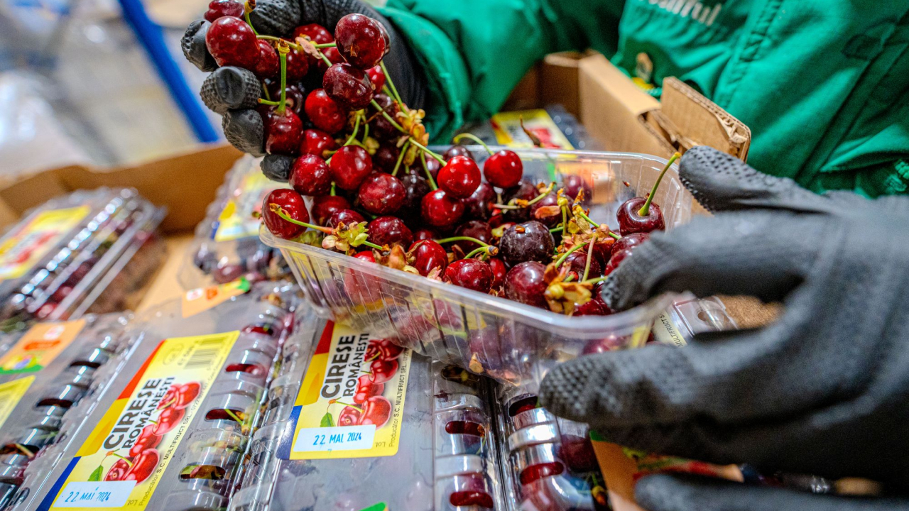 Freshful: românii cer cu 40% mai multe fructe și legume eco față de anul trecut