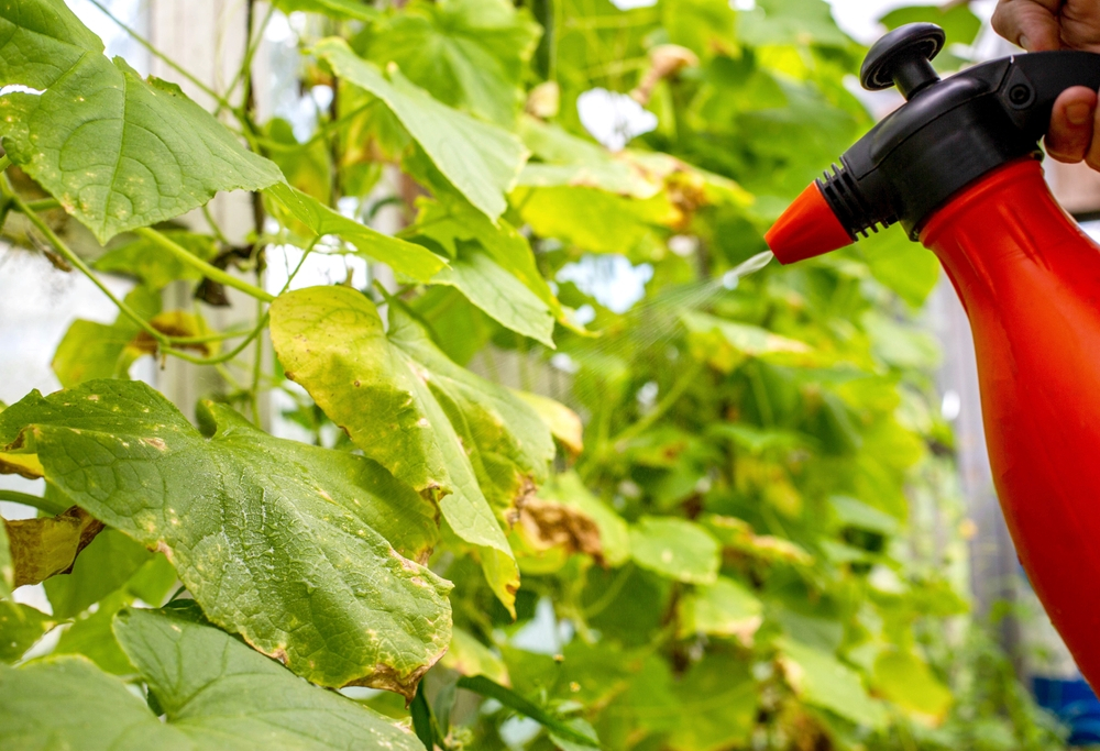 NitroVolt bagă viteză după o investiție ca să producă fertilizanți sustenabili