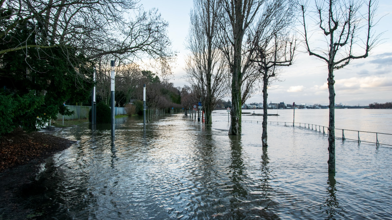 Schimbările climatice, pierderi de 145 mld. euro pentru UE într-un deceniu