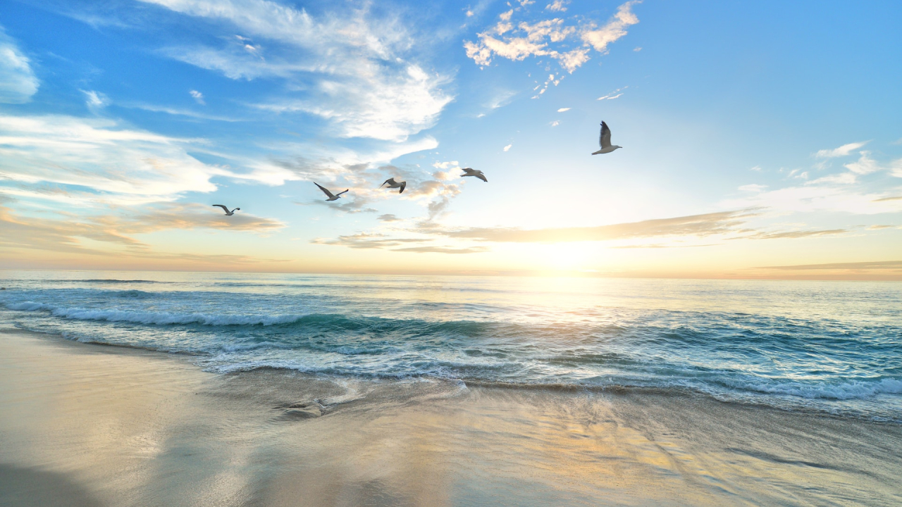 An ocean-based CO2 capture startup claims ”the largest investment” in the sector