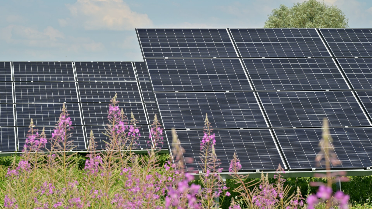 Fotovoltaice pentru firme: proiectele admise la finanțare prin ElectricUp