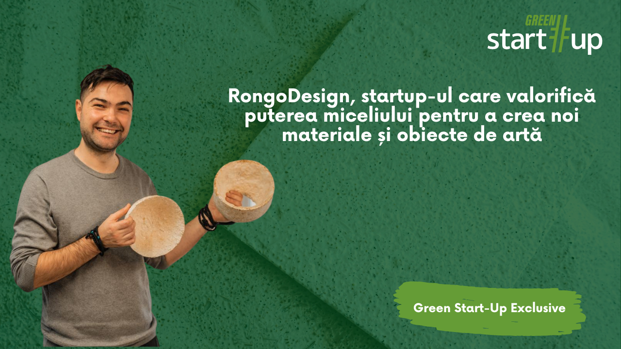 Ghici ciupercă ce-i: RongoDesign, startup-ul care valorifică un supermaterial din natură