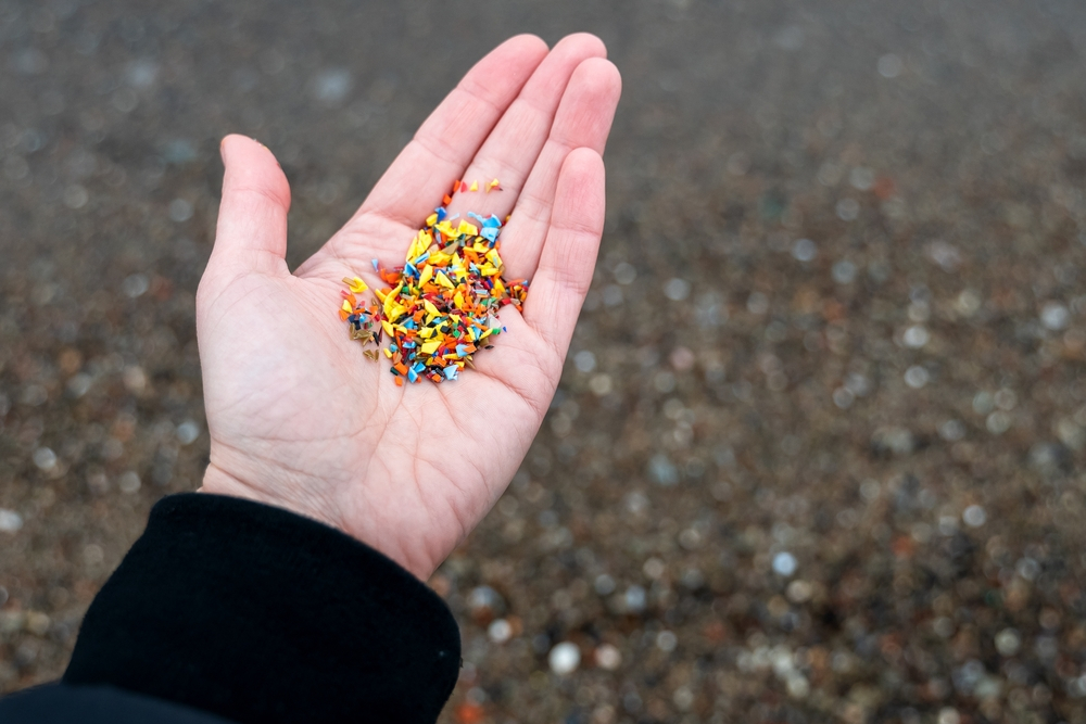 Microplasticele: cum arată viața particulelor care există peste tot