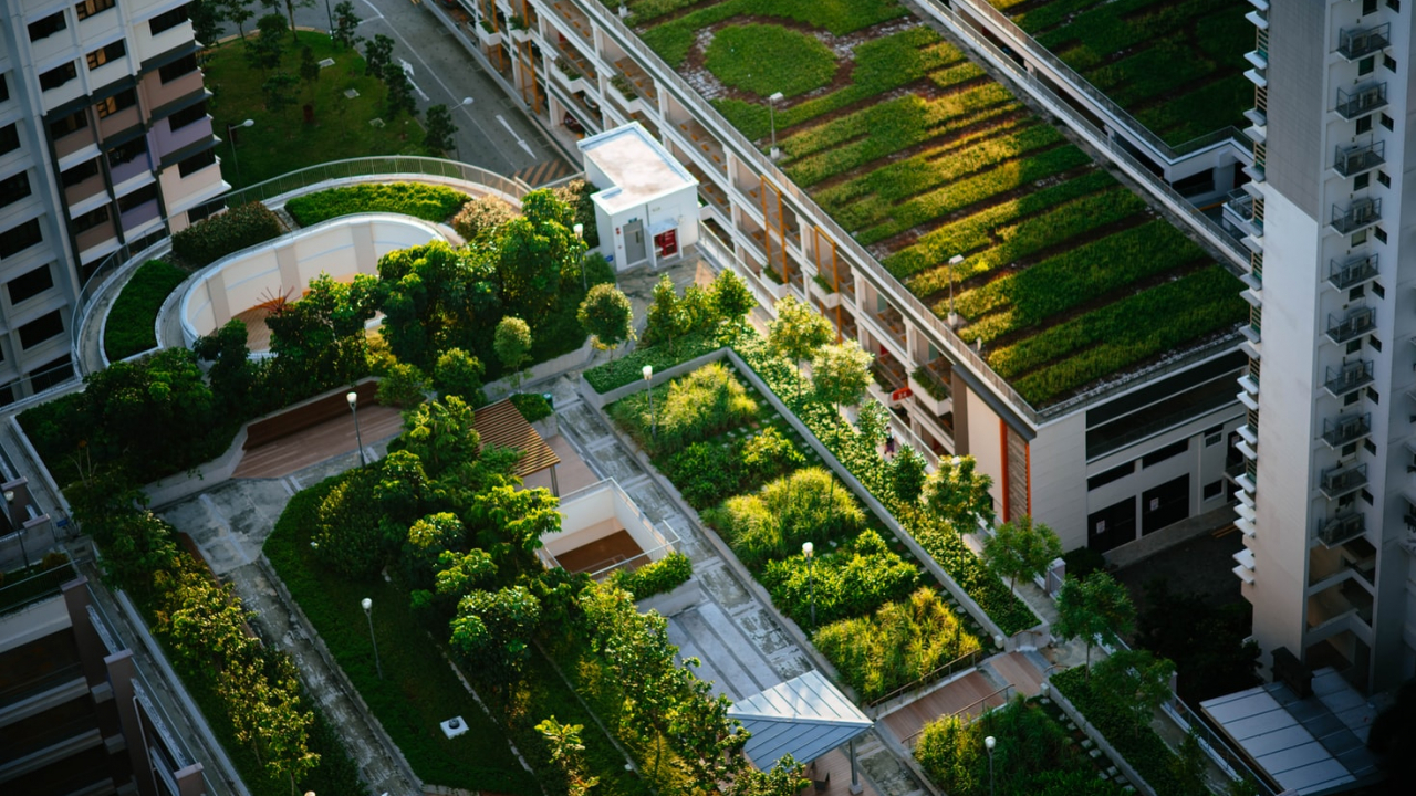 How can you build a more sustainable city? Four projects that could help