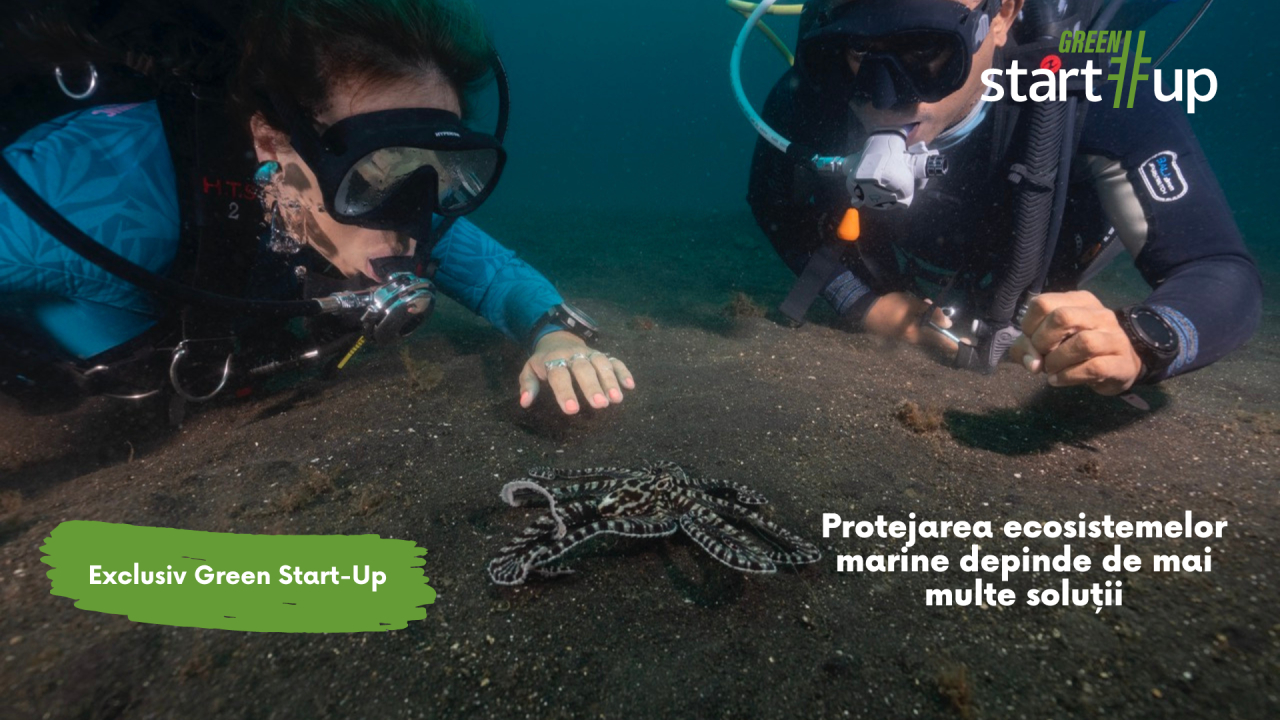 Alex Schnell, Nat Geo: „Pierderea ecosistemelor nu are o singură cauză”