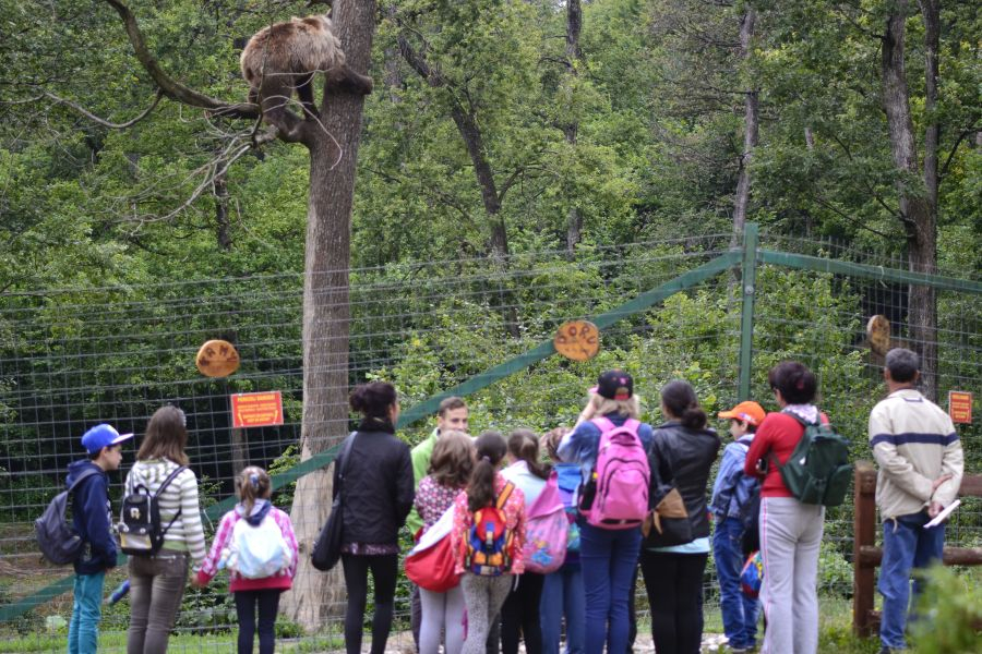 Programul care învață elevii din România să protejeze mediul înconjurător