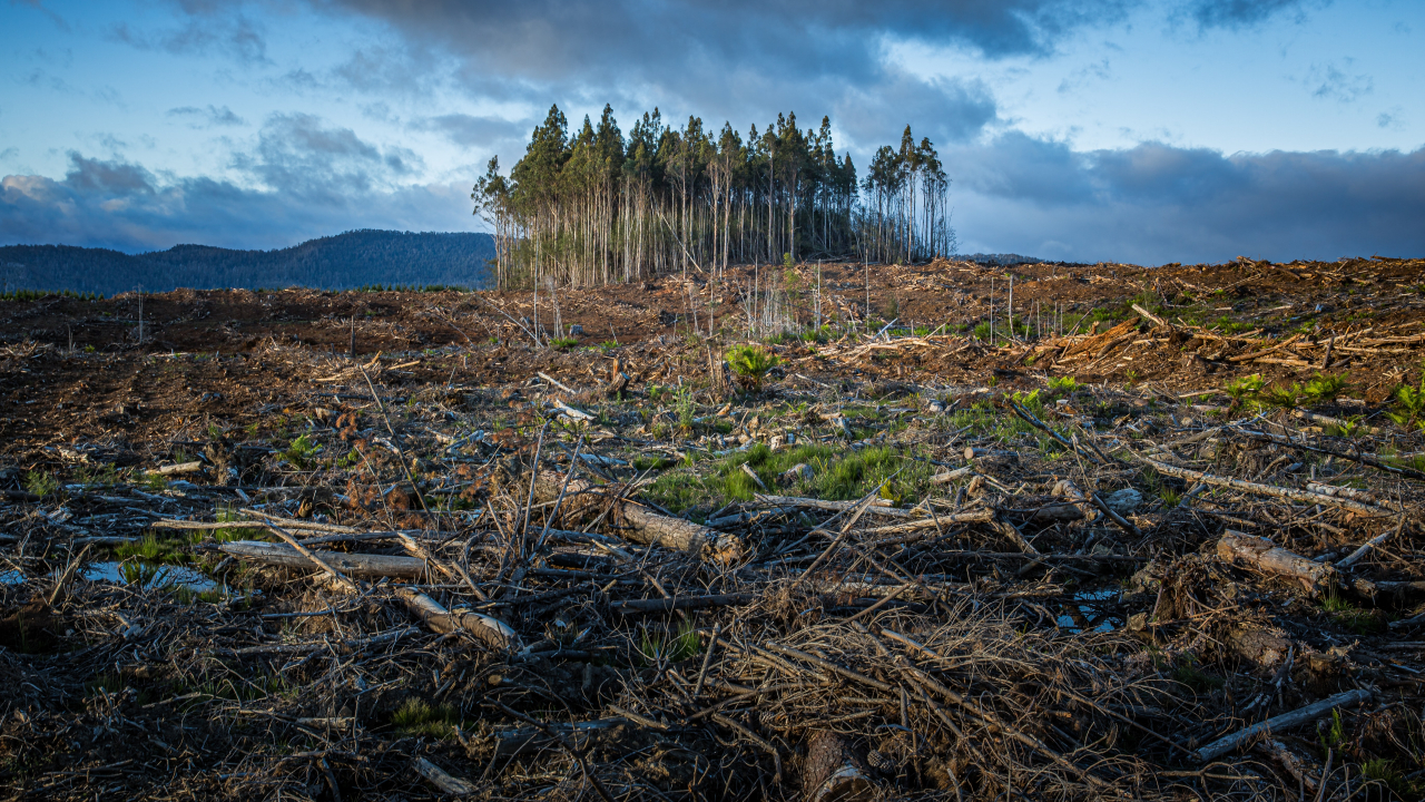 It’s now or never: drastic measures needed to avoid climate extremes