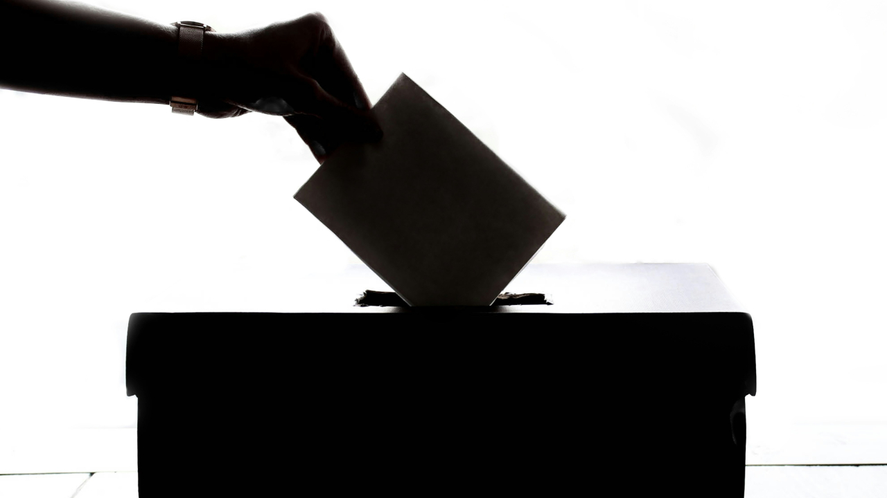 Alegeri 2024: sustenabilitatea, prioritară la urne pentru 76% dintre români
