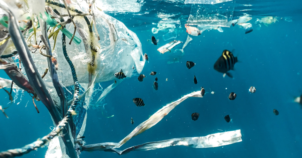 O parte din plasticul din ocean este consumat de bacterii, spun cercetătorii
