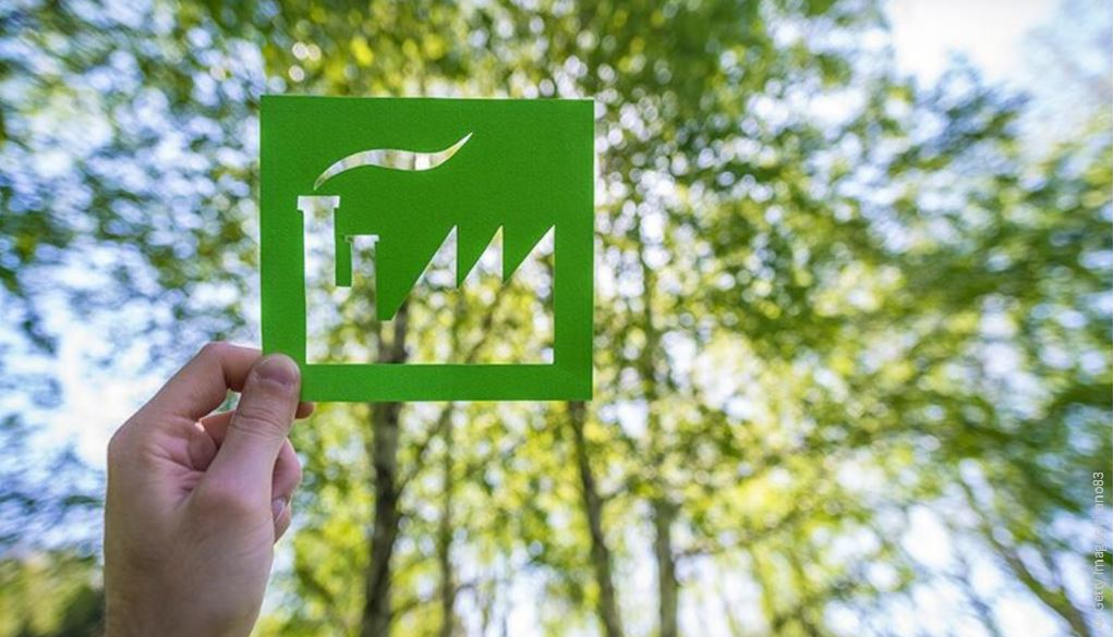 Buzău devine oraș verde cu ajutorul AHK România. Proiecte implementate