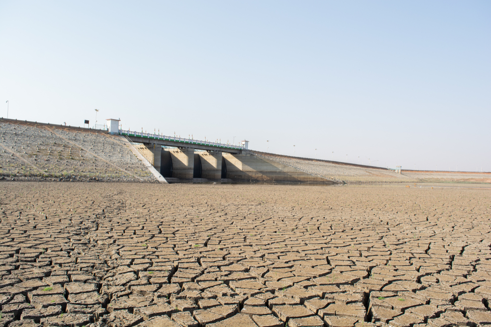 Seceta din Europa, consecința schimbărilor climatice provocate de noi