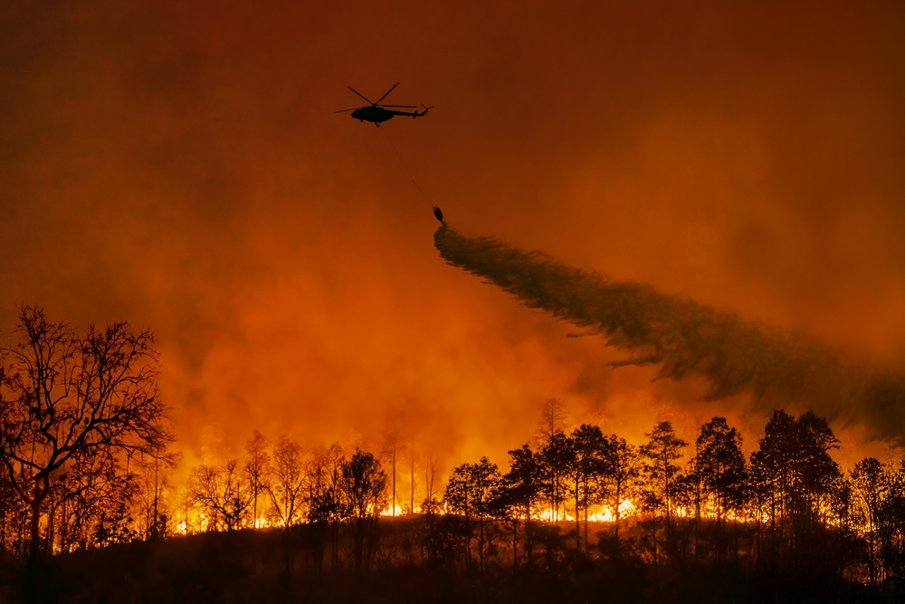 De ce temperaturile extreme ar putea ucide cu 50% mai mulți europeni în următorii ani