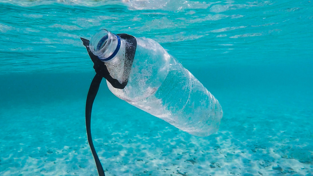 Uniunea Europeană: 11 mil. tone de plastic ajung anual în oceane