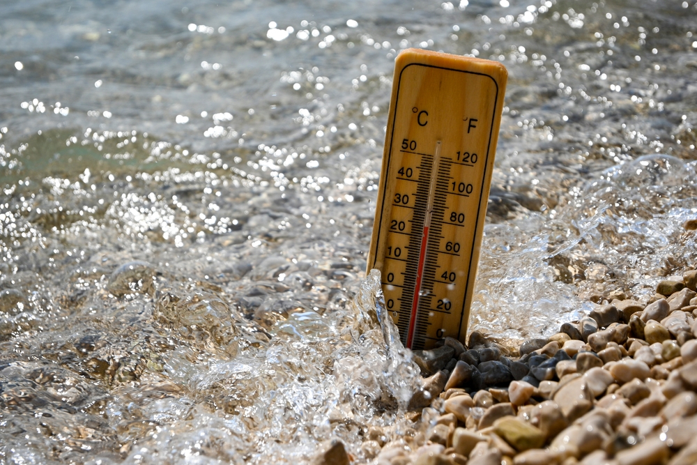 Valurile de căldură marine pot ajunge de peste 100 de ori mai întâlnite