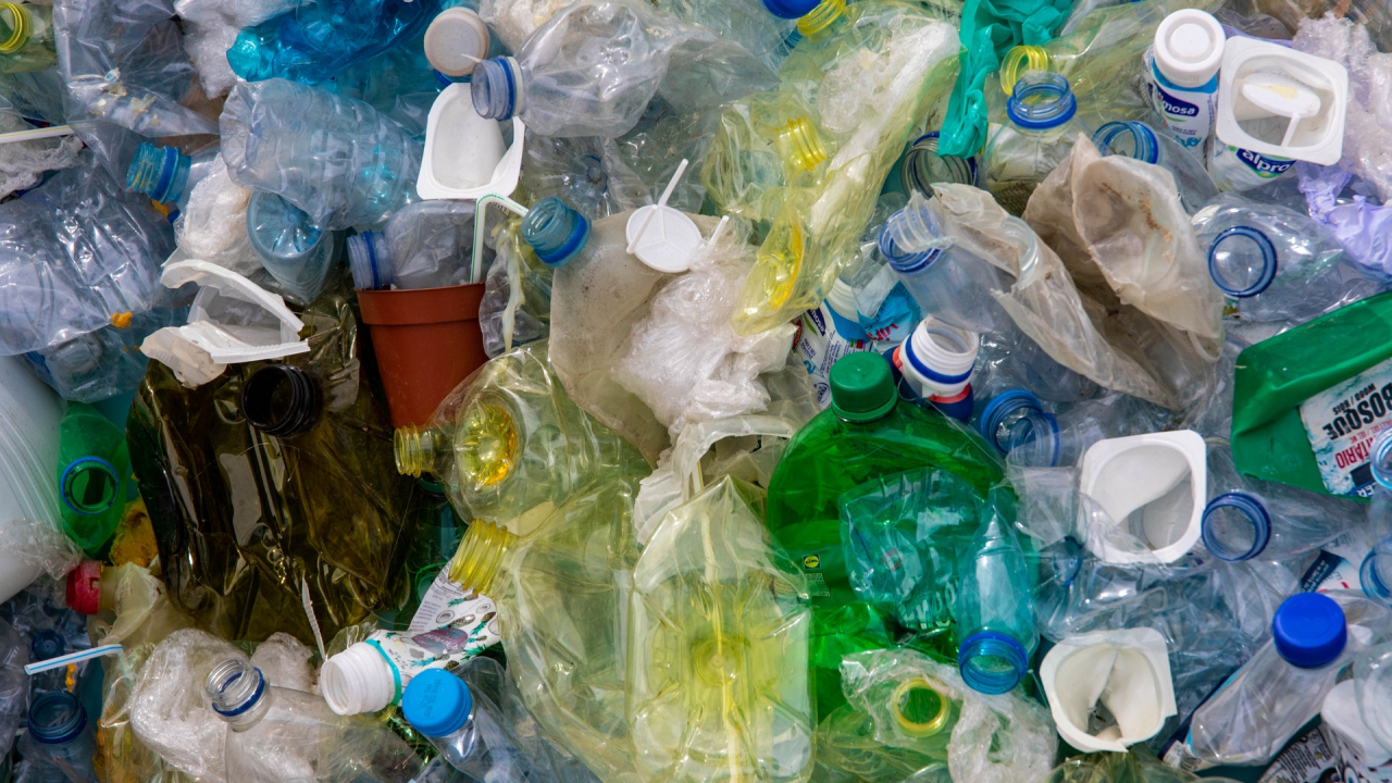 WWF: oceanele sunt din ce în ce mai poluate cu plastic de unică folosință