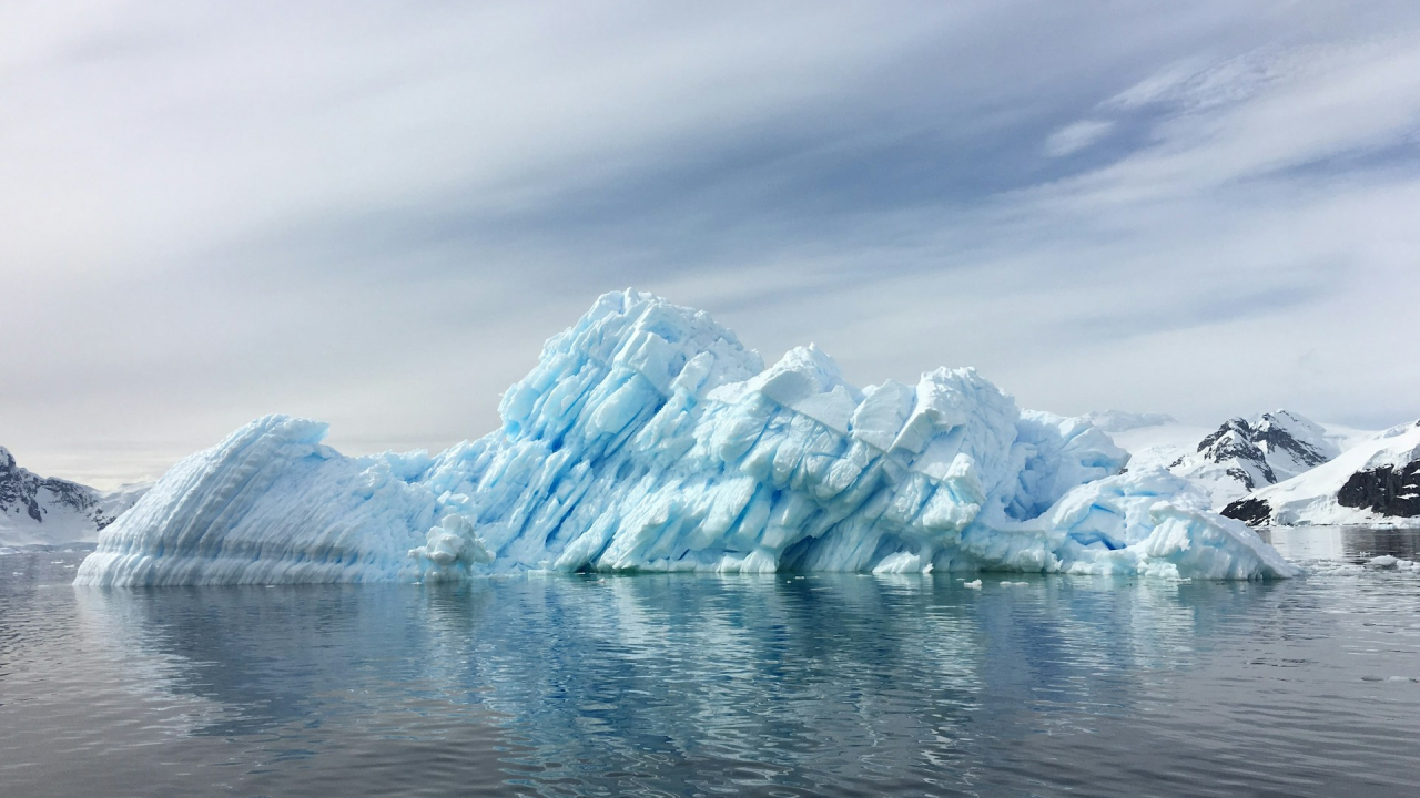Turismul din Antarctica accelerează topirea gheții. Ce se poate întâmpla peste 10 ani