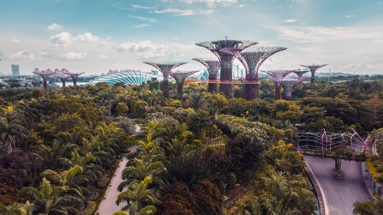 Green future. What it is and how can we live more sustainably