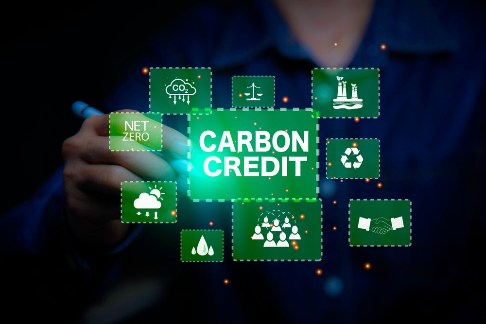 What are carbon credits, the ally of companies that make the sustainable switch