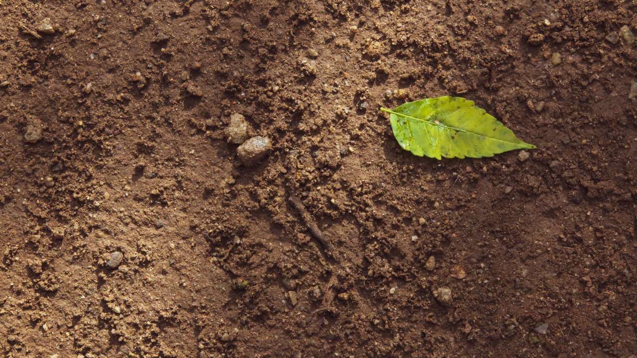 Compania care ajută agricultura prin captarea emisiilor, investiție de 18 mil. $
