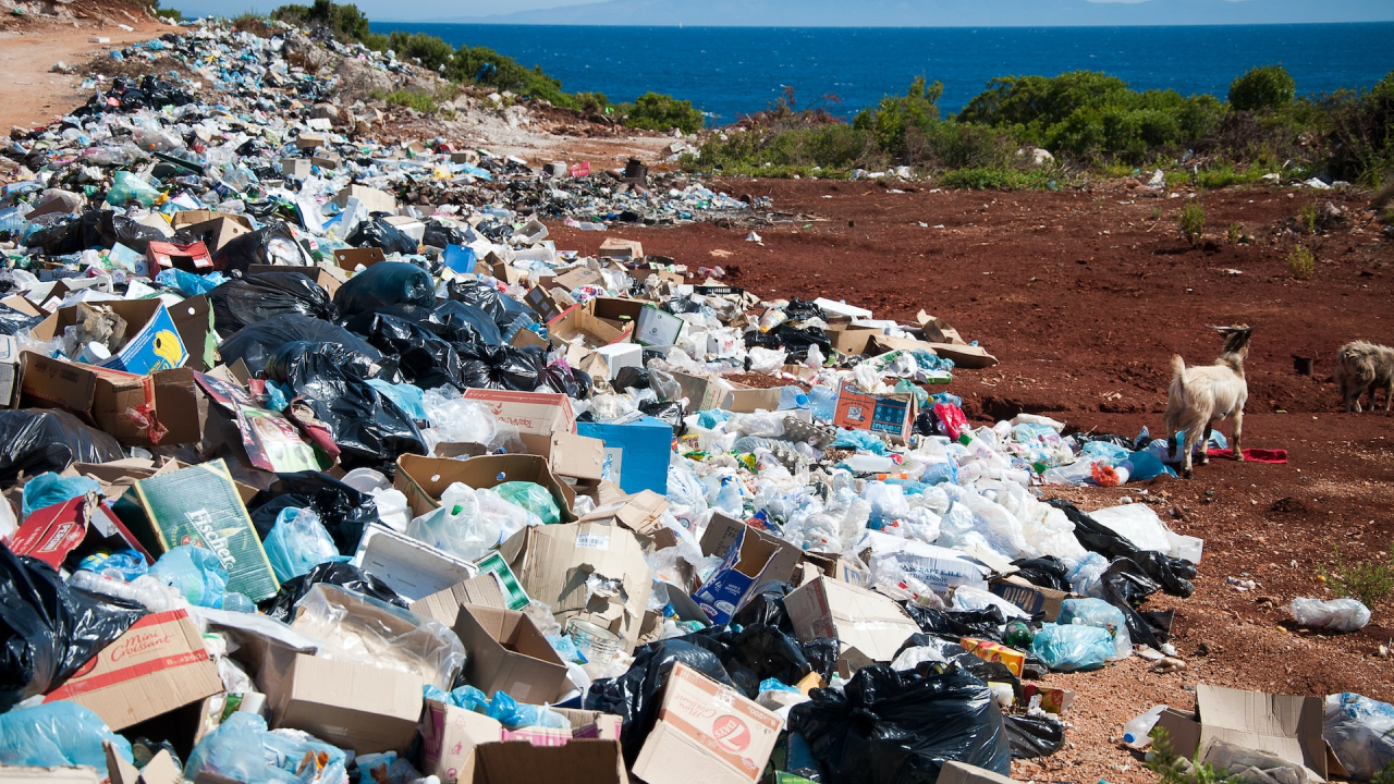 How AI can help us protect our ecosystems from all types of waste