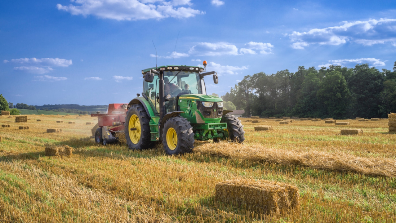 Inovații agro-alimentare din 2024 care hrănesc viitorul sustenabil al planetei