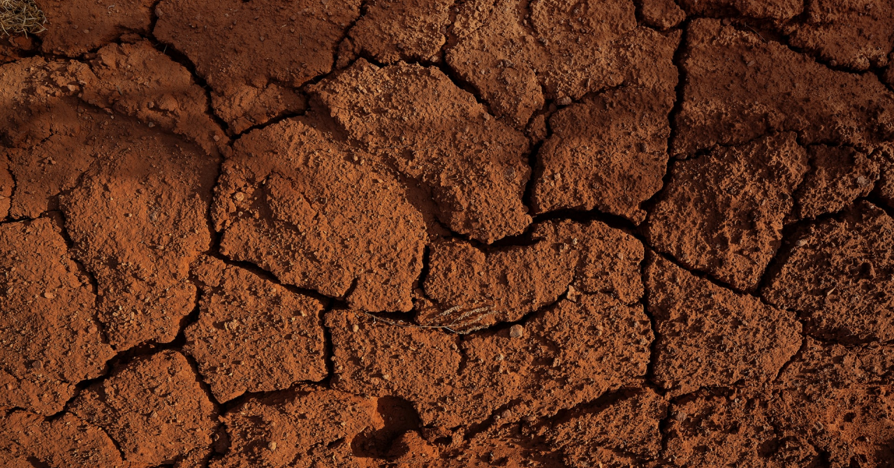 UN report: land degradation could jeopardise the global economy