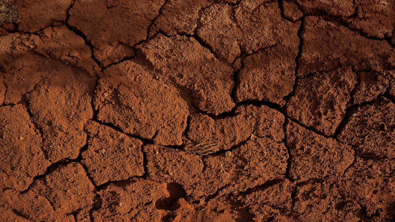 UN report: land degradation could jeopardise the global economy