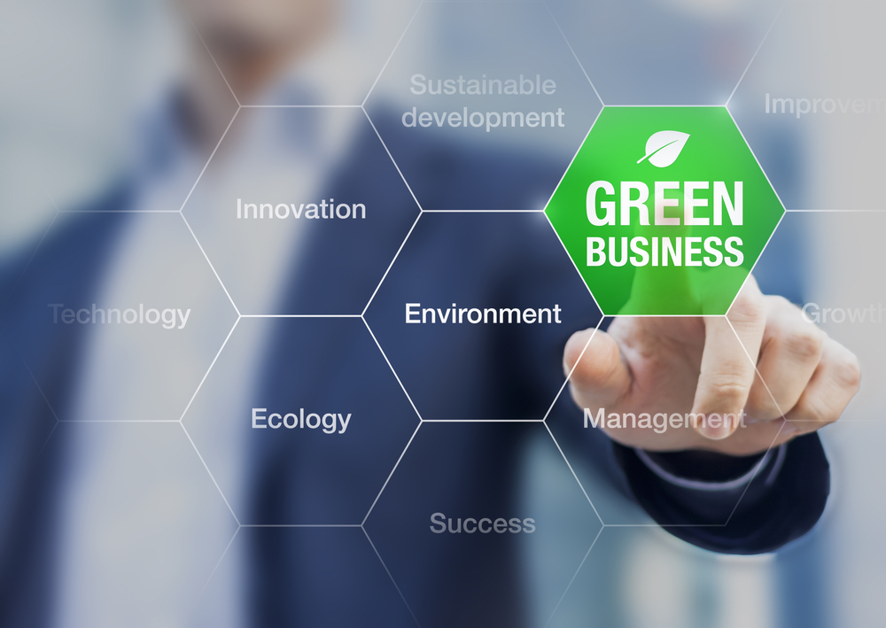 Raportarea sustenabilității corporative (ESG), element-cheie pentru afaceri