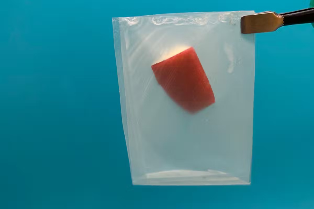 Materialul inovator care poate duce piața bioplasticului la o valoare de $44 mld