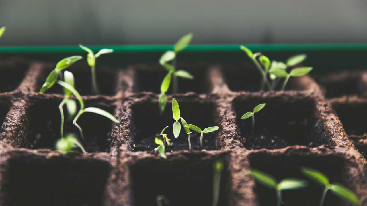 The best ecosystems to grow a cleantech startup