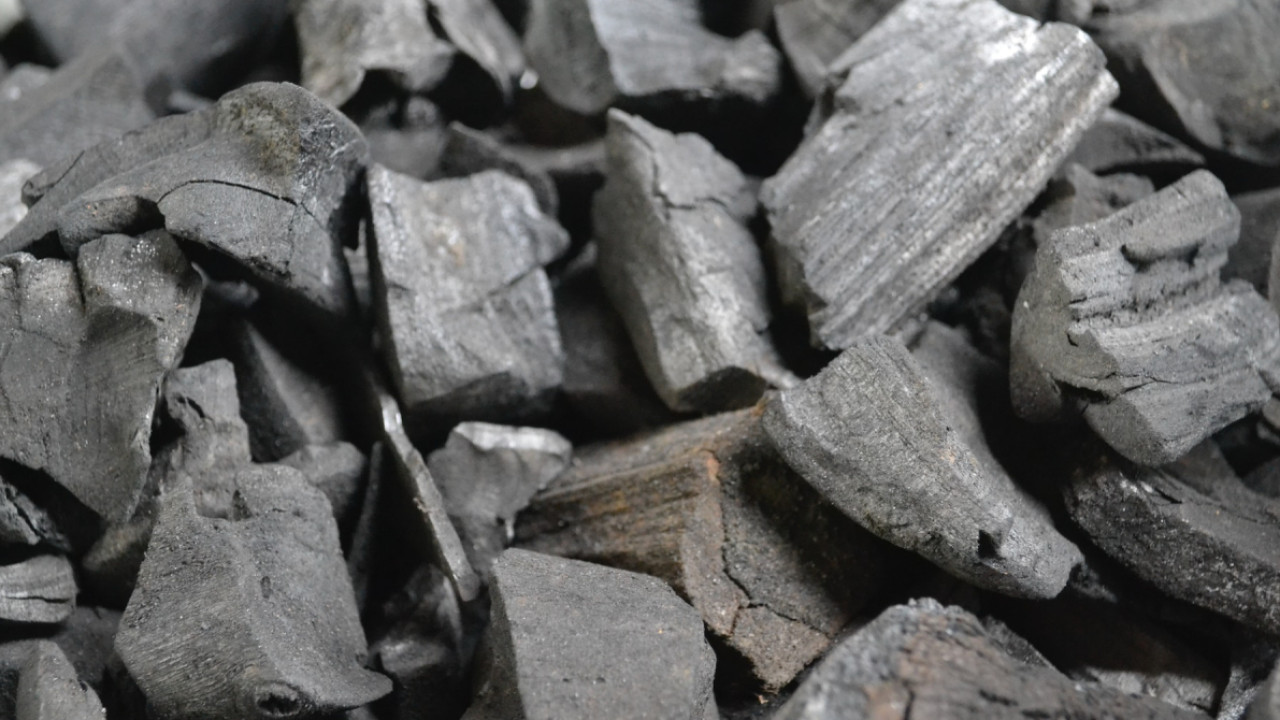 US-based Standard Biocarbon gets $5 mn to store CO2 emissions in biochar