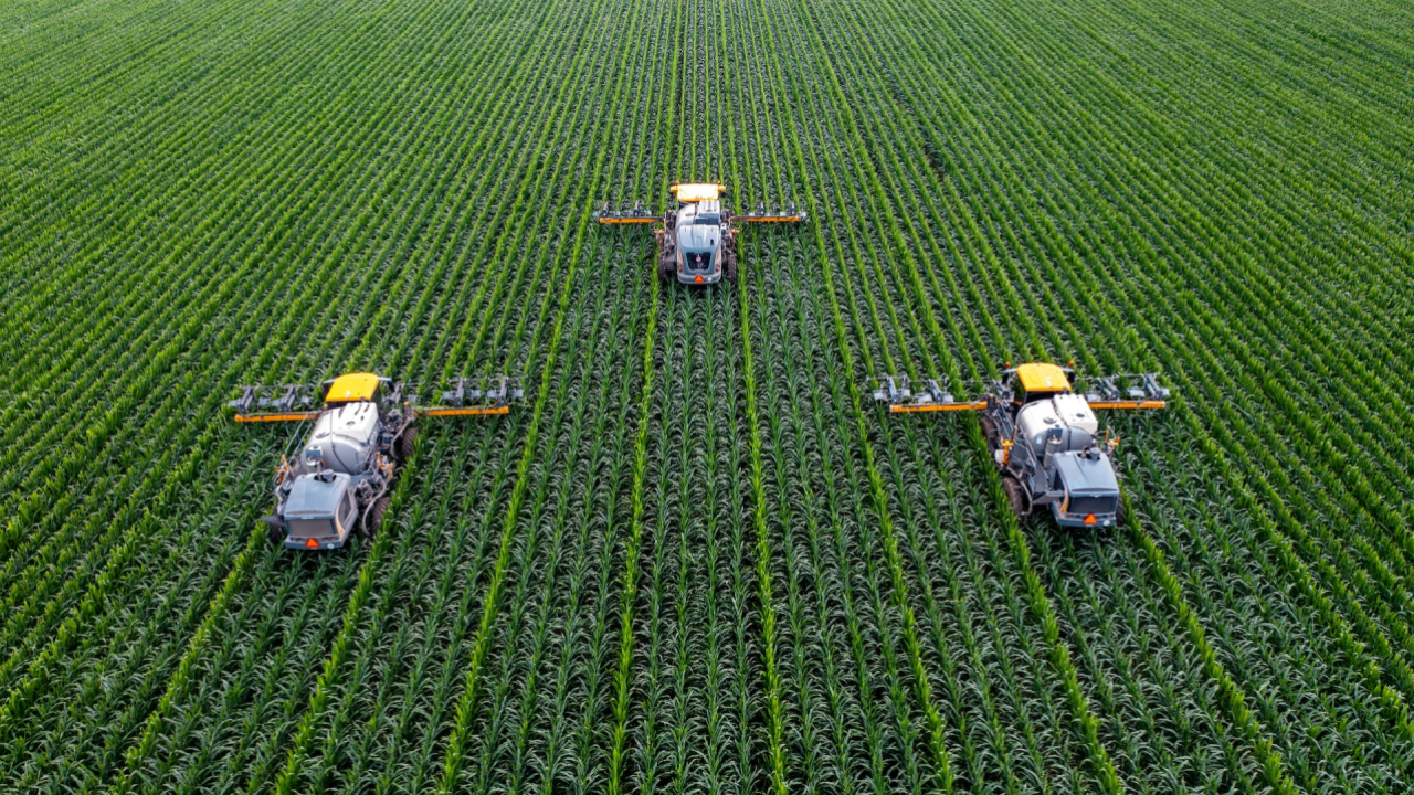 Agricultura sustenabilă. Ce reprezintă și cum putem hrăni populația în viitor