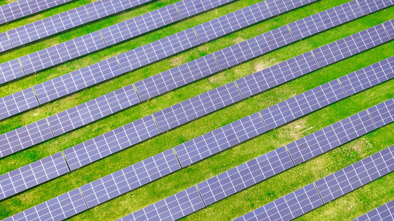 Venituri de 193 mil. lei pentru Simtel în primul semestru din 2025
