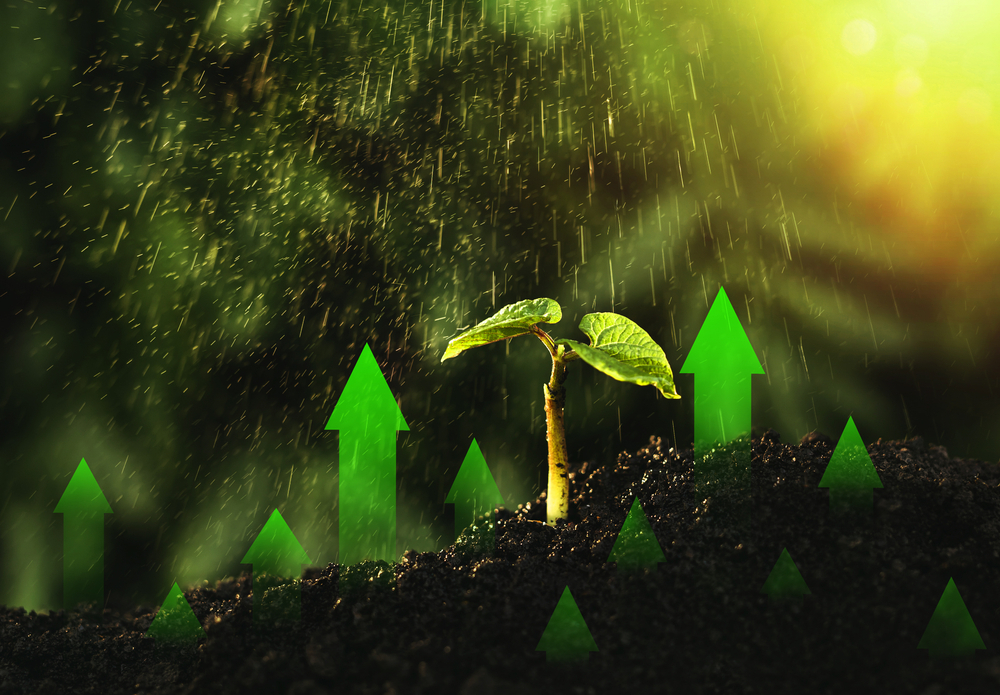 GreenLeap, program de accelerare și incubare pentru startup-urile verzi