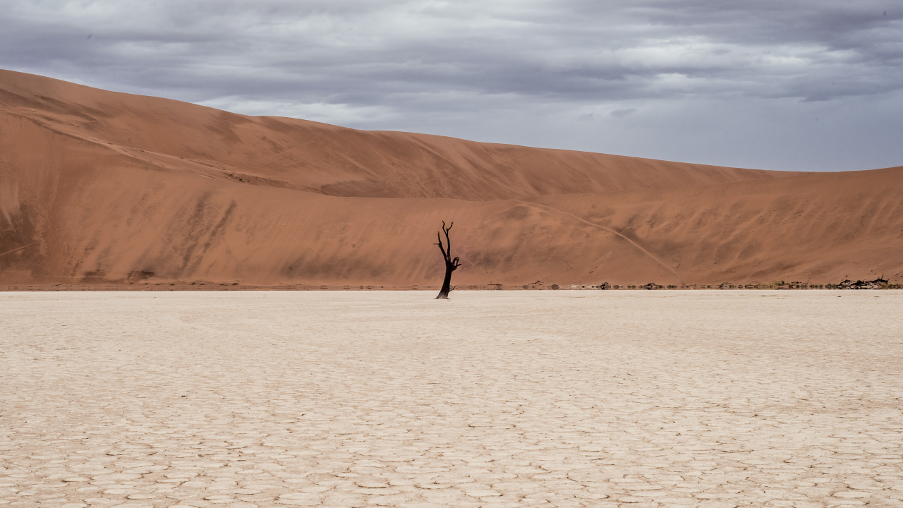 Green hydrogen plants located in arid areas could supply freshwater for locals