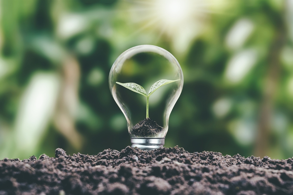 Procesul inspirat din natură care ne oferă combustibili cu impact minim asupra planetei
