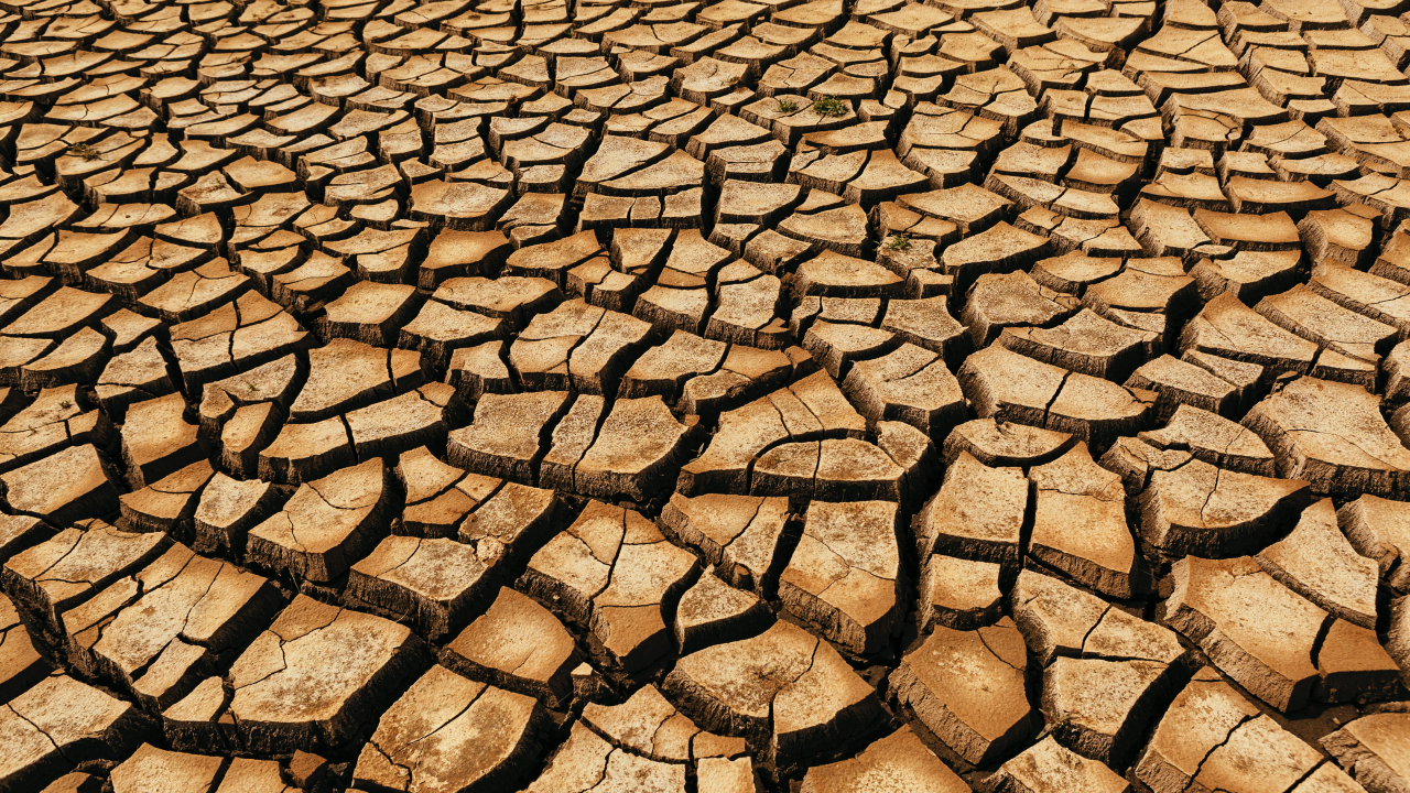 Global warming threatens crops worldwide: "No region will be spared"