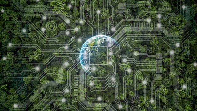 Deșeurile electronice ne pot ajuta să oprim extracția minereurilor critice