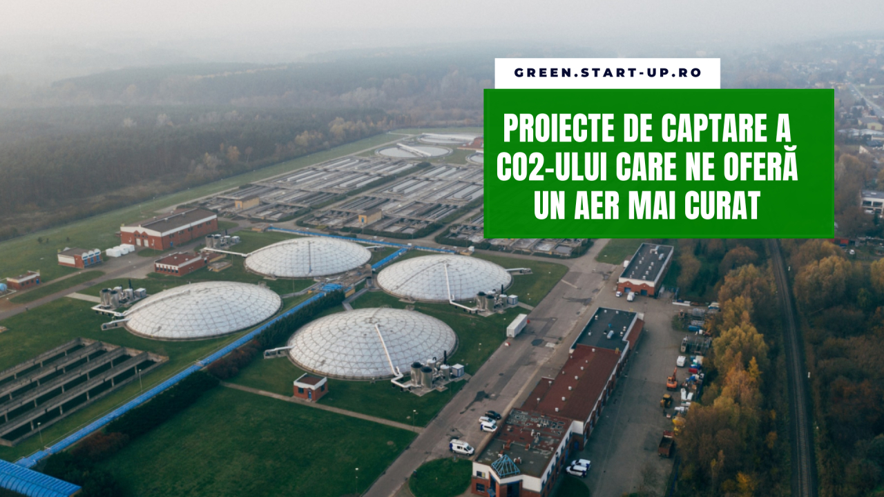 Patru companii care ne scapă de emisiile de carbon pentru un aer mai curat
