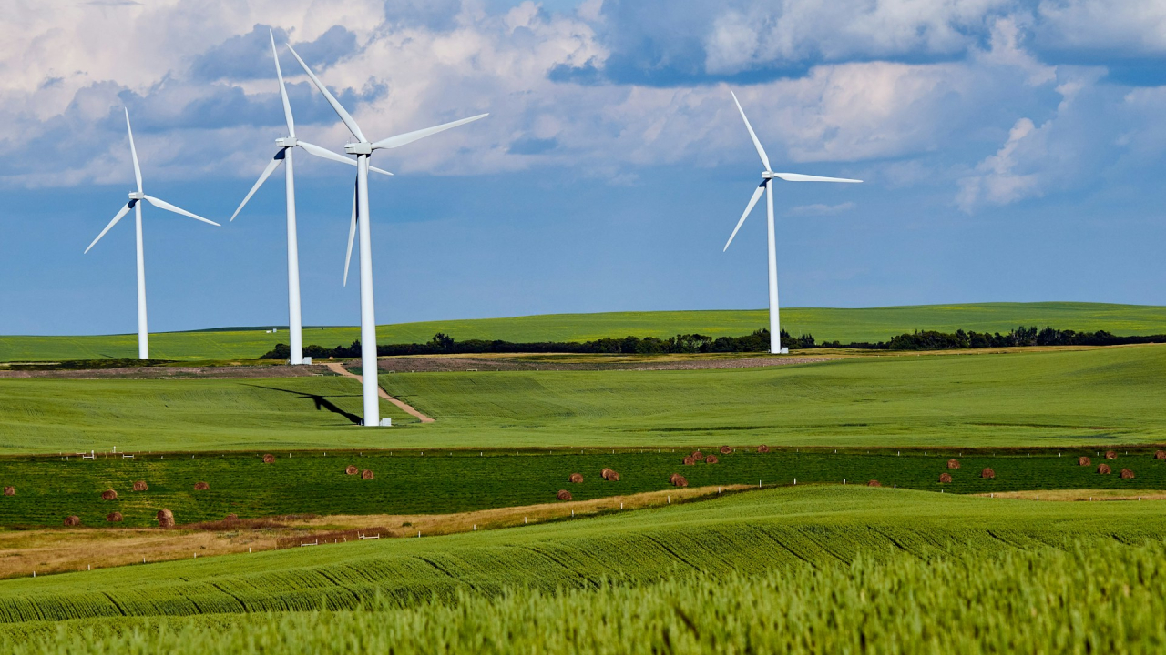 Portugal is the first country that generated more green power than it could use