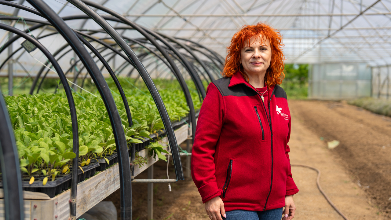 Ferma Bio&Co: 5 hectare care oferă un loc de muncă persoanelor marginalizate