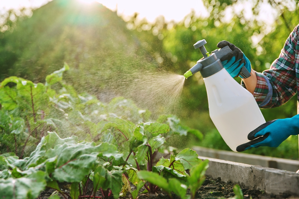 Departe de ferme, dar nu de pesticide: expunerea chimică, prezentă și în mediul urban