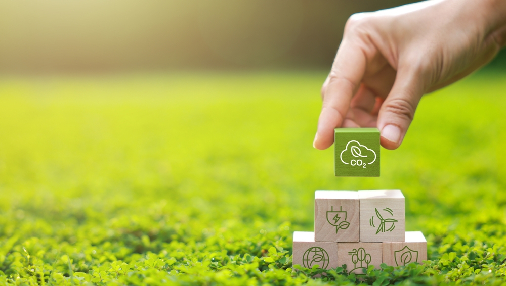 Climate Change Summit: consumption raised by 28% in the past years