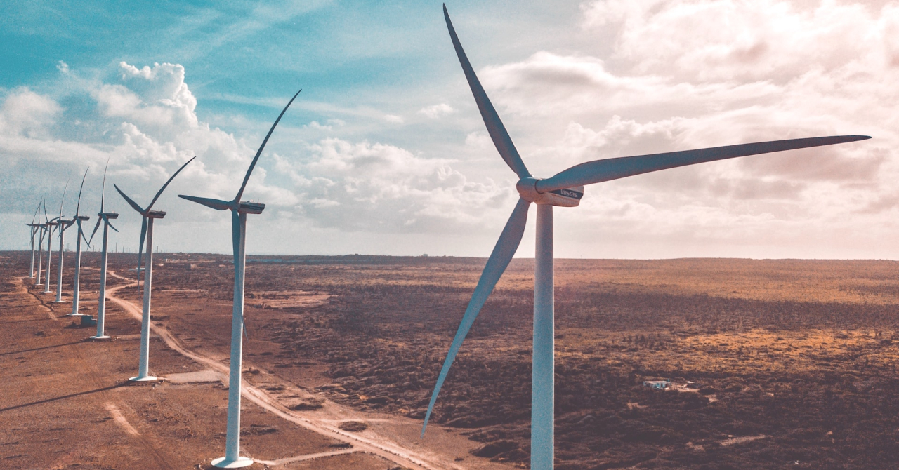 Turbinele eoliene din lemn ne pot ajuta să producem energie verde mai sustenabil