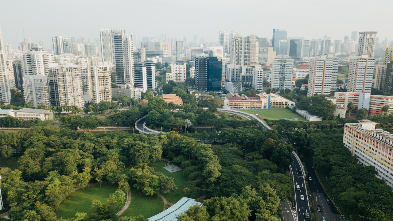 How can NGOs contribute to the development of "green cities"